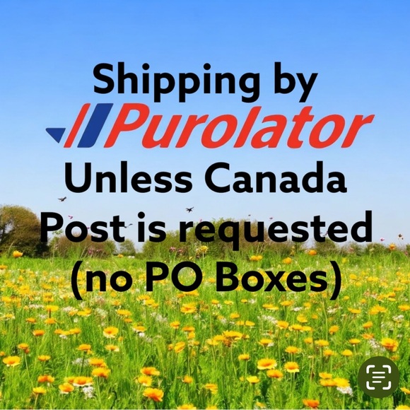 Love is... Mug Kim Caselli - Picture 6 of 6